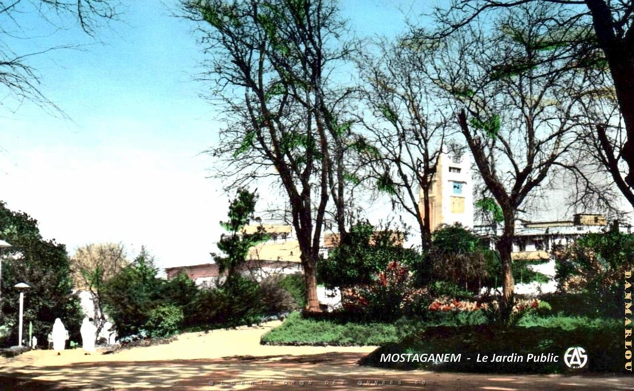 Mostaganem - Jardin Public   .jpg